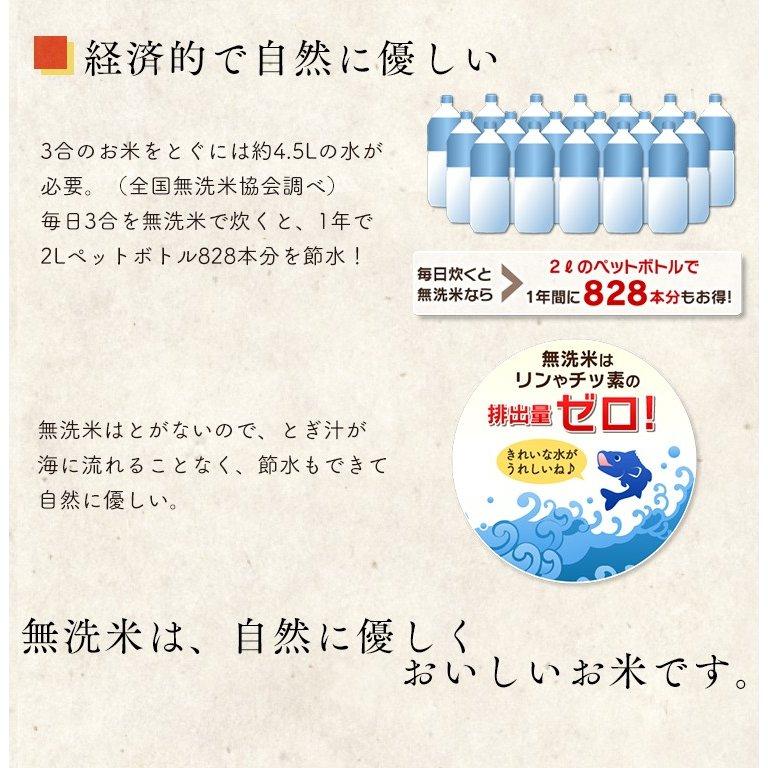 お米 無洗米 5kg ななつぼし 5kg お米 5kg 米 北海道県産 送料無料 白米 ごはん 一等米 うるち米 低温製法米 アイリスオーヤマ