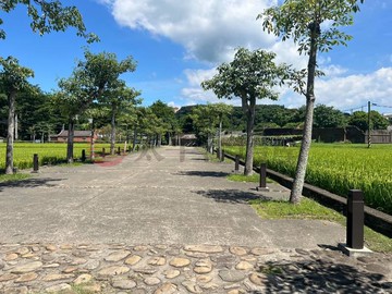 大溪月眉休閒農地｜桃園市大溪區月眉