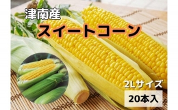 朝取りスイートコーン 2Lサイズ 20本（1本約400g）