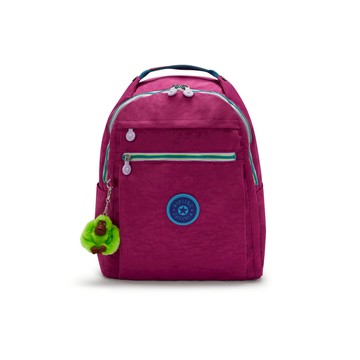 (網路獨家款) 紫紅色多袋實用後背包-MICAH