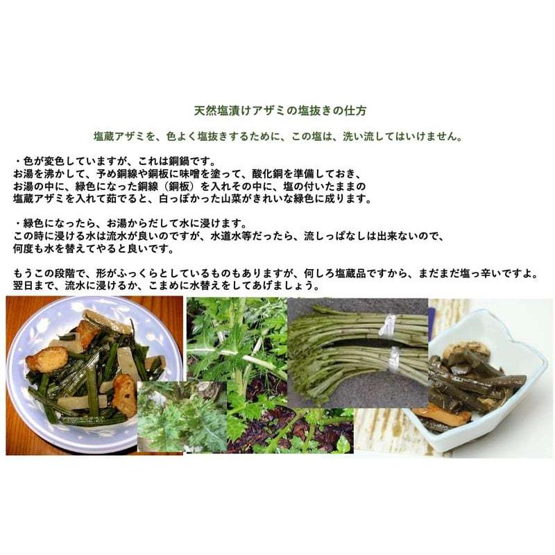 天然山菜 天然アザミの塩漬け１ｋｇ 袋 自然の恵み　山形県飯豊町便　送料無料