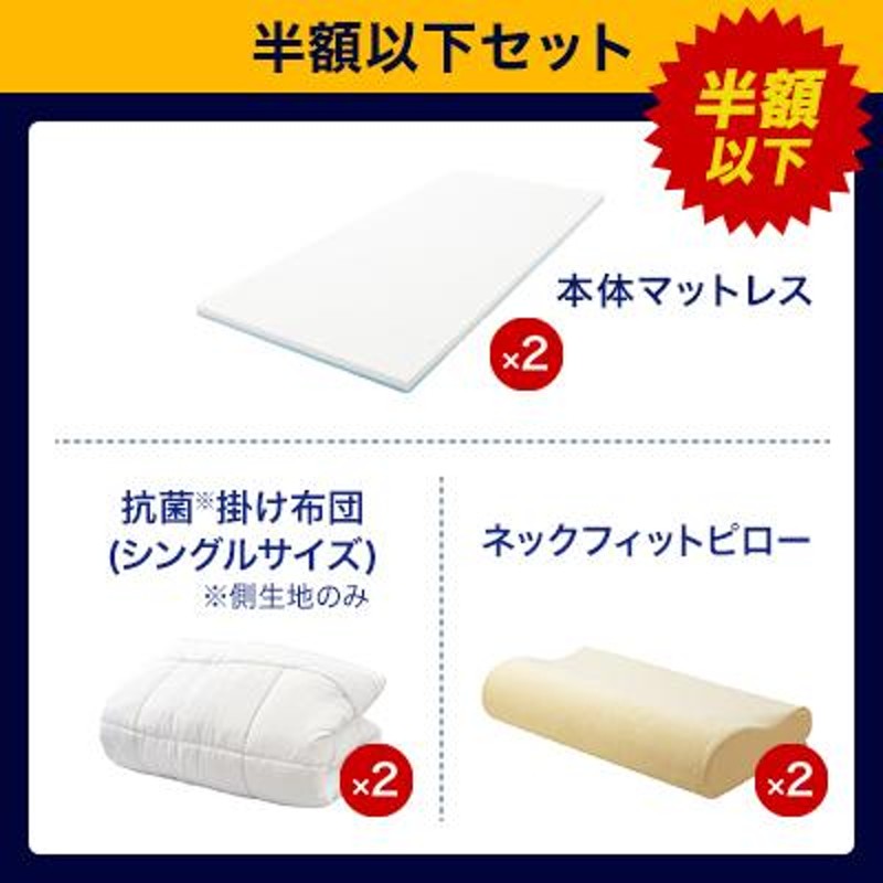 トュルースリーパー 抗菌掛け布団 シングル×2枚 公式】 トゥルー