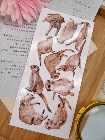 5K023_五口美 _ 狐蒙B_Meerkat B/轉印貼紙