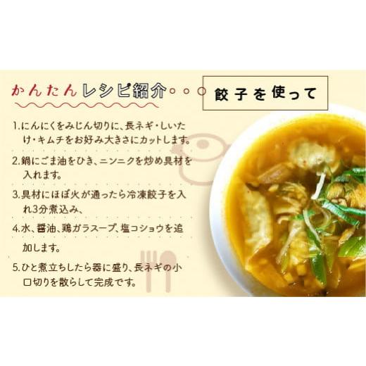 ふるさと納税 栃木県 宇都宮市 宇都宮餃子　2種類味比べ(合計40個)