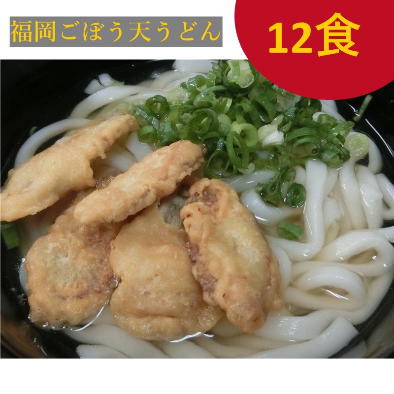 博多ごぼう天うどん 12食セット