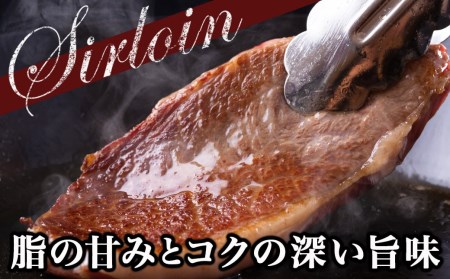 黒毛和牛サーロインステーキ200g×2枚_16-3301_(都城市) 牛肉 サーロインステーキ 200g×1枚×2パック 計400g ステーキ用カット