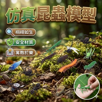 昆蟲模型 昆蟲 仿真昆蟲 認知37