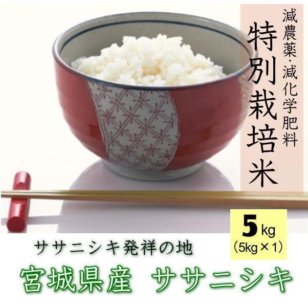 新米 令和5年産 宮城県産 ササニシキ 宮城県認証 白米 5kg   無洗米 5kg 要選択 1等米 ※沖縄県送料別途2,000円