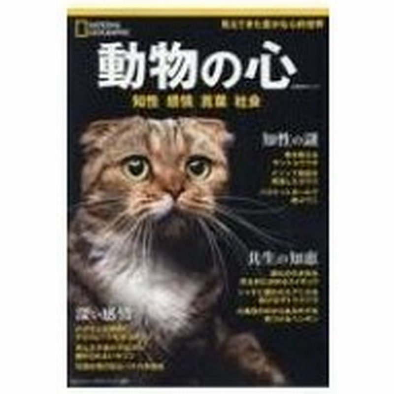 動物の心 知性 感情 言葉 社会 ナショナル ジオグラフィック別冊 日経bpムック 雑誌 ムック 通販 Lineポイント最大0 5 Get Lineショッピング