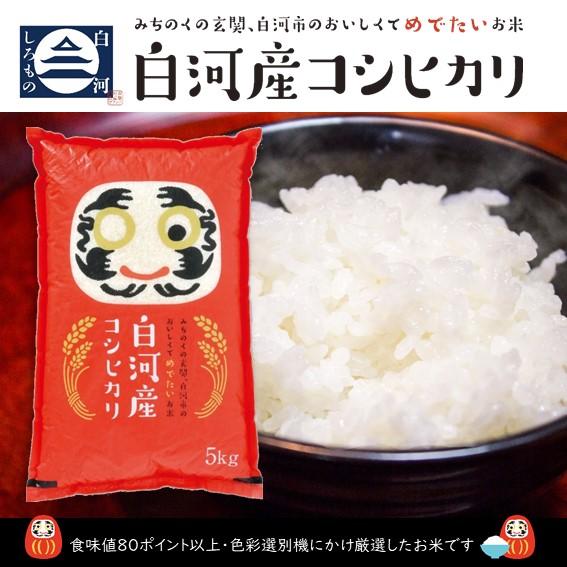 新米 米 お米 白河産コシヒカリ 赤 5kg 令和5年度 5キロ 白米 精米 福島県産