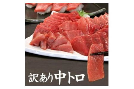 本マグロ訳あり中トロ1kg　解凍レシピ付　本マグロのトロ食べ放題！