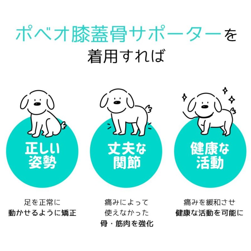 犬用 サポーター(右足) poveo - beautifulbooze.com