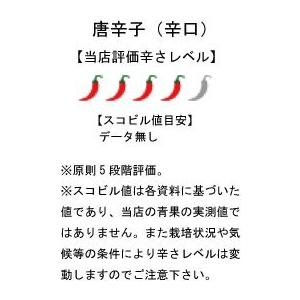 国産　生　青唐辛子　辛口　50g×5袋　冷凍品　千葉県産