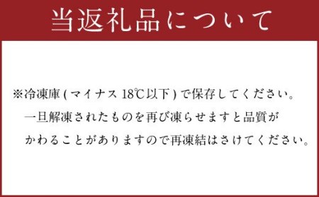 元祖 もつ鍋 地 元祖もつ鍋 2～3人前用 セット 鍋