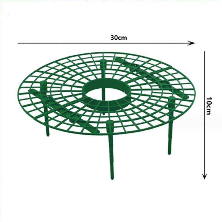 イチゴ棚 イチゴ プランター 棚 セット 高さ10cm 苗棚 苺苗棚 栽培棚 支え棚 園芸支柱 いちご プランター棚 いちご支