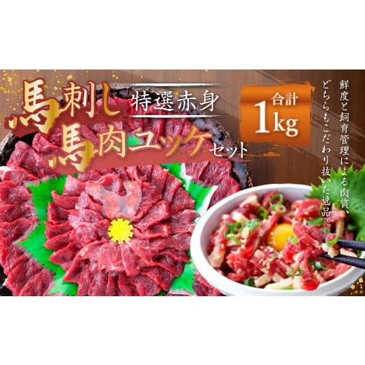 ふるさと納税 熊本県 益城町 熊本 馬刺し 特選赤身 馬肉ユッケ セット 合計 1kg 馬肉 赤身 ユッケ たれ 生姜