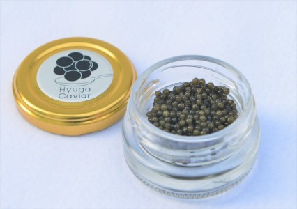 日向キャビア(Hyuga Caviar) 10g(冷凍・フレッシュキャビア) [宮崎キャビア 宮崎県 日向市 452060322]