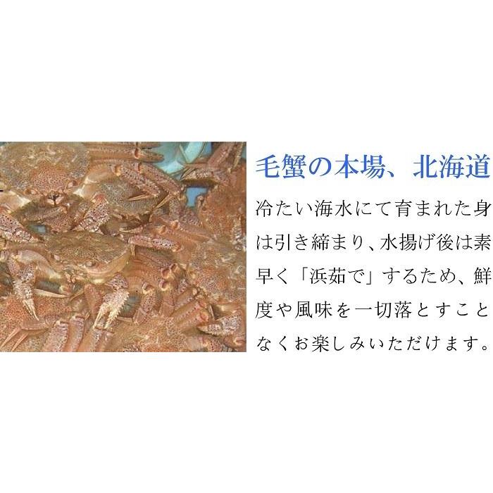 毛ガニ 1kg 1尾 特大 毛蟹 メガサイズ 北海道産 ボイル 蟹味噌 ギフト 冷凍 浜茹で お取り寄せ グルメ