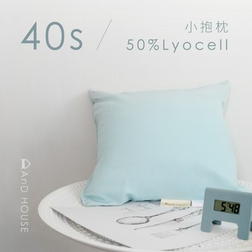 活動贈品｜40支天絲小抱枕｜涼被｜200棉 小抱枕｜ 壓框抱枕｜午睡枕 趴睡枕