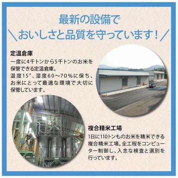 棚田米 令和5年産 熊本県ひのひかり精米 10kg