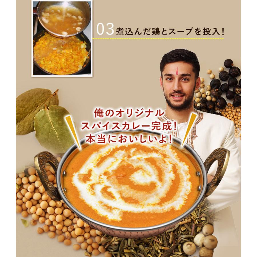 カレー　スパイス　お得　セット　20種　詰合せ（60皿分）　俺のカレー