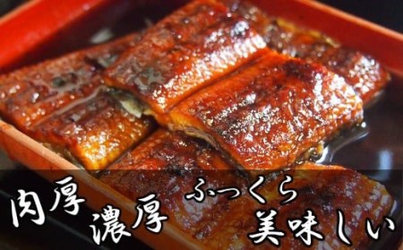 RZ001 お魚屋さんのうなぎ蒲焼 約1000ｇ（5尾）ウナギ ふっくら肉厚 大容量