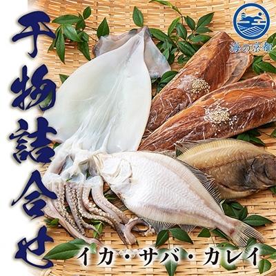 ふるさと納税 宮津市 やまいち自慢の干物詰め合わせセット