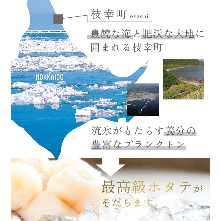 北海道枝幸産ホタテ 1kg (500g×2袋) Aフレーク 訳あり 玉冷 貝柱 ホタテ