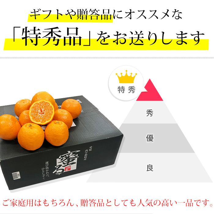 みかん 愛媛県産 ポンカン 蜜る 特秀品 約5kg 2L〜3Lサイズ 22〜28個