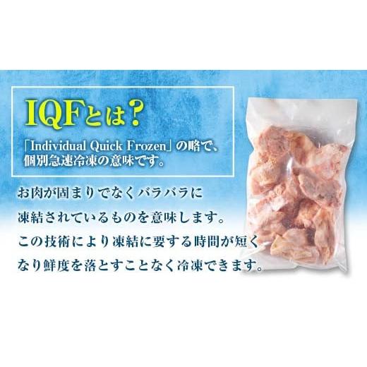 ふるさと納税 宮崎県 日南市 小分けで便利 カット済 若鶏 もも肉 計2.5kg 250g×10袋 肉 鶏 鶏肉 国産 おかず 食品 お肉 チキン 送料無料_B219-23