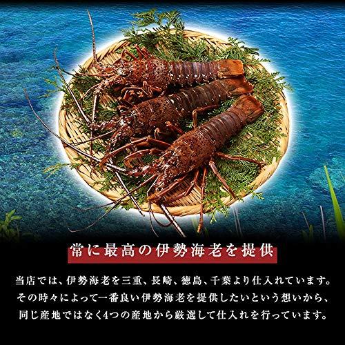 活〆 天然伊勢海老 約1kg(500g前後×2尾)急速冷凍 刺身