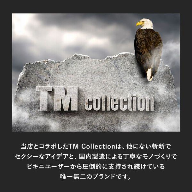 小物 TM ミニショベル ZX30UR RX306 （3.0tクラス）超小旋回機 取扱商品
