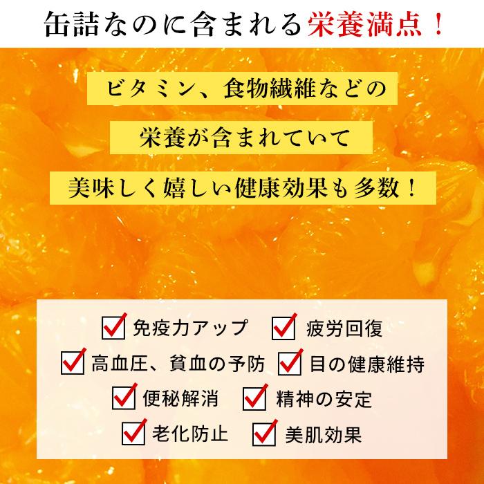 みかん 缶詰 フルーツ 缶 国産みかん缶 紀州有田 田村みかん 大粒使用 ギフト 内祝い 保存食 非常食 コロナ対策 備蓄 送料無料 295g 12缶