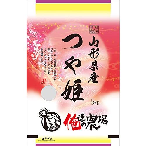 精米 山形県産つや姫 5kg 令和5年産