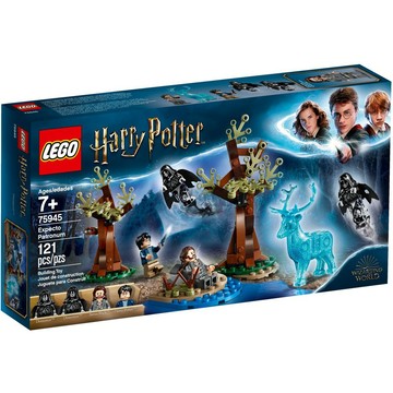 1100【台中翔智積木】LEGO 樂高 哈利波特 75945 Expecto Patronum 輕盒損