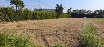 新屋近永安國小雙面路農地｜桃園市新屋區崁頭厝段下庄子小段