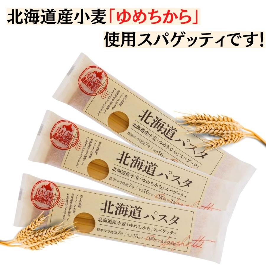 パスタ 北海道パスタ270g×3袋 お試しセット 国産小麦100％使用 ゆめちから 赤城食品