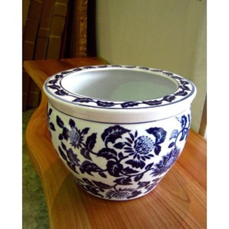 陶器鉢 10号【白】 サンスベリア 4号 ゴールデンフレーム 白陶器鉢仕様