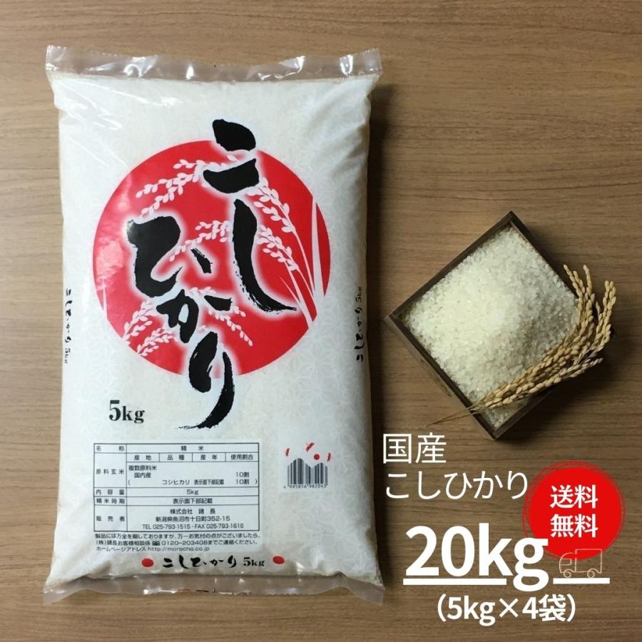 米 お米 20kg コシヒカリ こしひかり 国産 5kg×4袋 送料無料 令和4年産