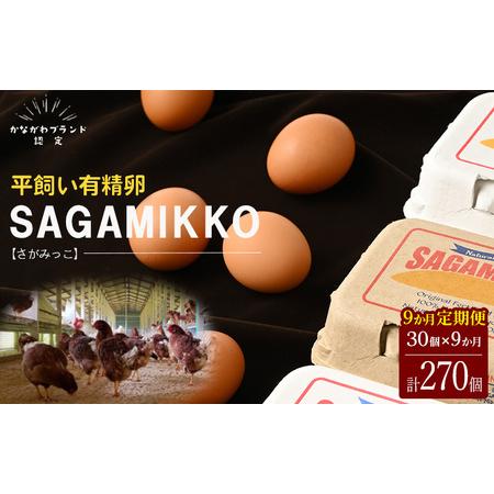 ふるさと納税 《かながわブランド認定》平飼い有精卵さがみっこ 30個×9か月| 平飼い ケージフリー 卵 有精卵 鶏卵 玉子.. 神奈川県相模原市