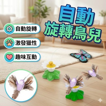 自動旋轉飛舞鳥兒 自動旋轉蝴蝶