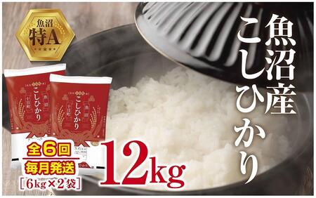 魚沼産 こしひかり 6kg ×2袋 計12kg 米 コシヒカリ お米 コメ 新潟 魚沼 魚沼産 白米 送料無料 新潟県産 精米 産直 産地直送 契約農家 お取り寄せ 壱成 新潟県 十日町市