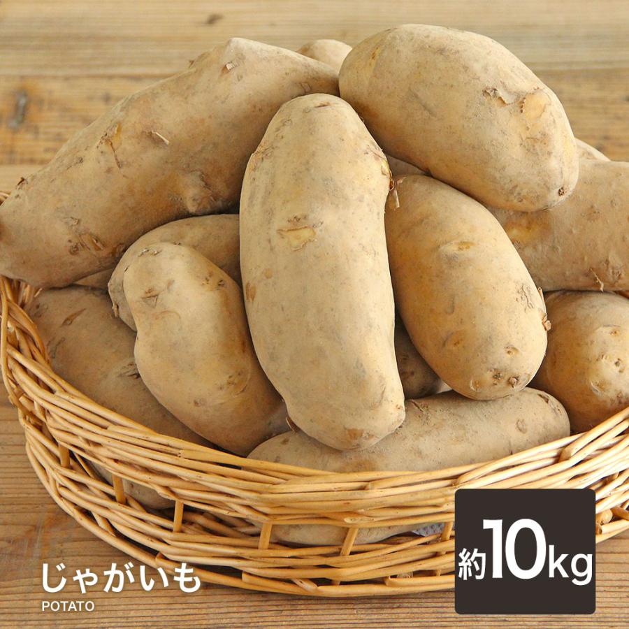 じゃがいも ジャガイモ 送料無料 1kg 2kg 3kg 4kg 5kg 10kg メークイン 野菜 ジャガイモ じゃが