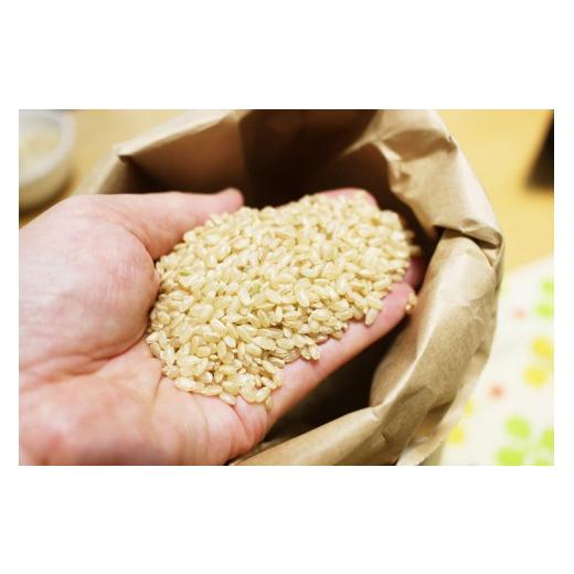 ふるさと納税 高知県 宿毛市 酵素が２倍！「乳酸菌生産エキス栽培」玄米 5kg