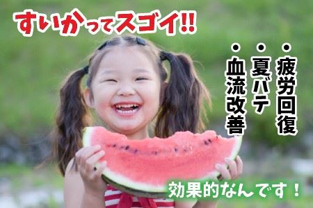 甘さきらめく「夏の天使」スイカ1玉 [A-1005]