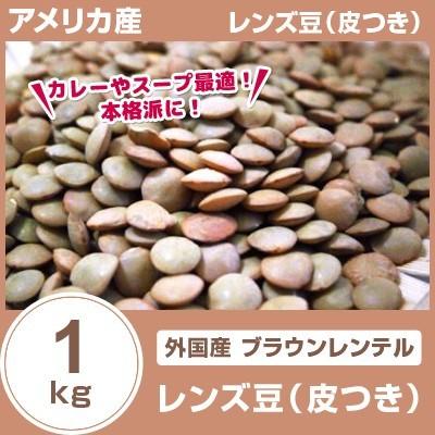 レンズ豆 皮つき 1kg ブラウンレンテル 外国産（アメリカ）