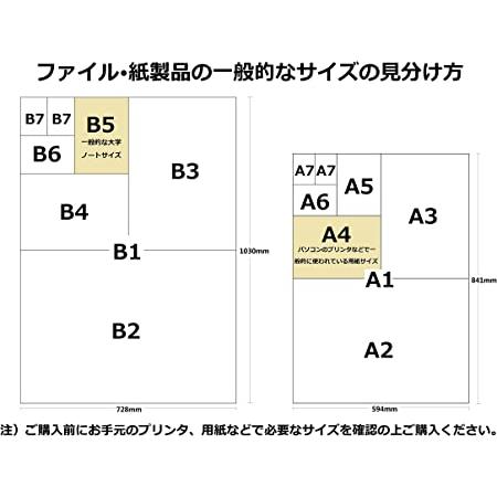 コクヨ インクジェット 印画紙原紙 高光沢 B4 20枚 KJ-D11B4-20