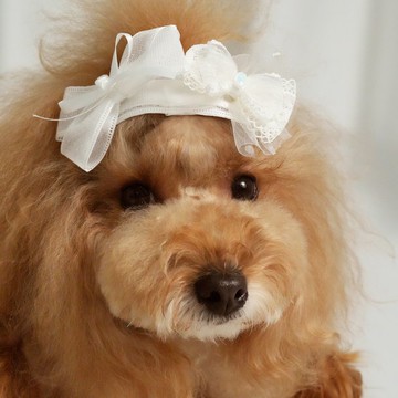 NO.123 塑料防滑夾