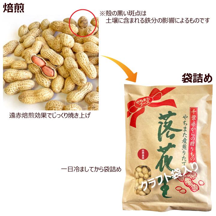 千葉県産 からつき 落花生 国産 400g  中手豊 ナカテユタカ 八街 やちまた ピーナッツ ピーナツ クリックポスト（代引不可） 遠赤焙煎