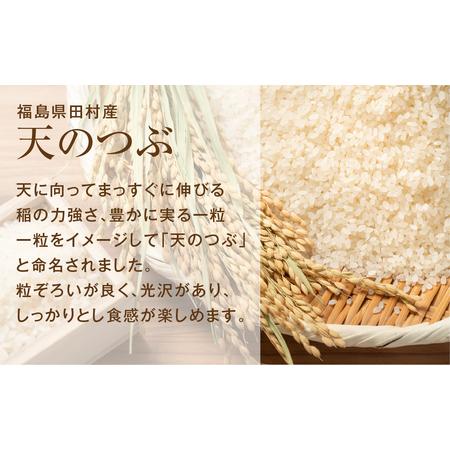 ふるさと納税 ＼新米／定期便6回 田村産 天のつぶ10kg お米 福島県 田村市 田村 贈答 美味しい 米 kome コメご飯  特Aランク  一等.. 福島県田村市